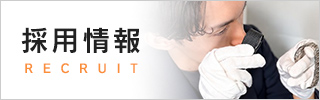 採用情報