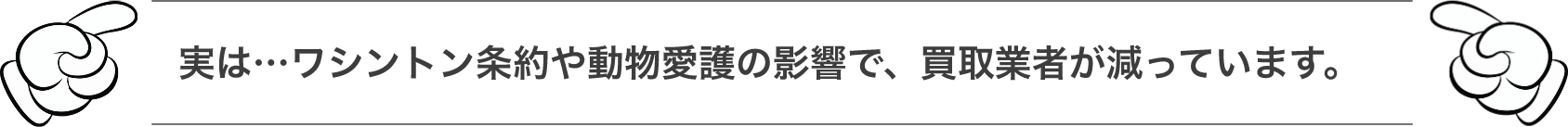実は...ワシントン条約や動物愛護の影響で、買取業者が減っています。